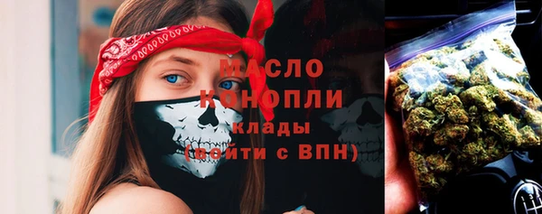Альфа ПВП Верея