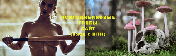 амф Бородино