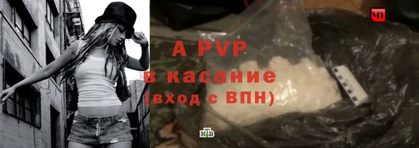 амф Бородино