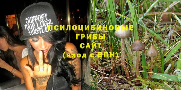 амф Бородино