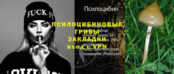 стафф Бронницы