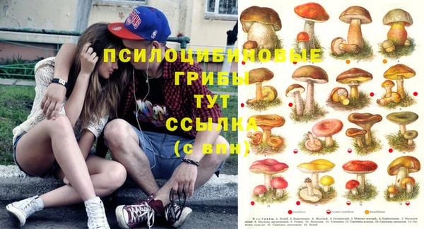a pvp Бугульма