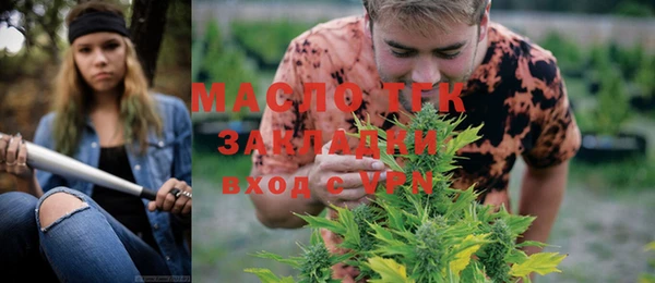 амф Бородино